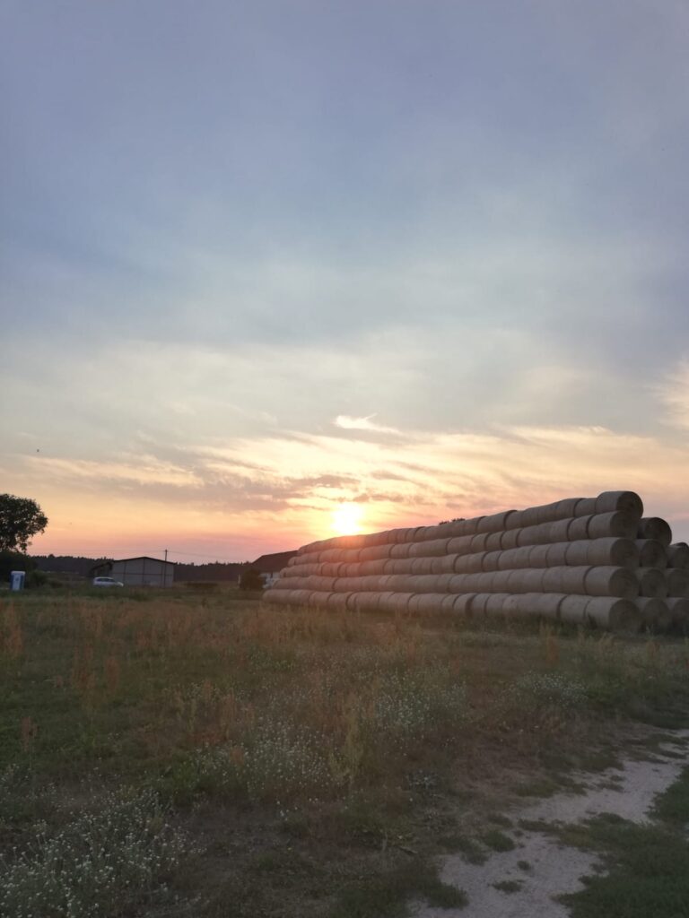Aufgetürmte Strohballen in der Abendsonne